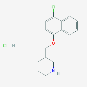 molecular formula C16H19Cl2NO B2502630 4-Chloro-1-naphthyl 3-piperidinylmethyl ether hydrochloride CAS No. 1050509-55-1