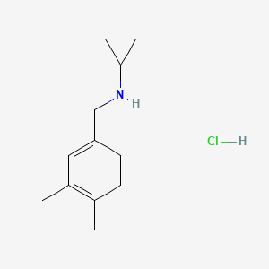 molecular formula C12H18ClN B2503403 N-(3,4-二甲基苄基)环丙胺盐酸盐 CAS No. 1257535-33-3