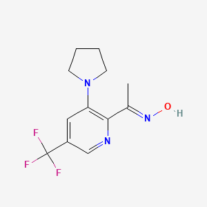 molecular formula C12H14F3N3O B2503463 1-[3-(1-Pyrrolidinyl)-5-(trifluoromethyl)-2-pyridinyl]-1-ethanone oxime CAS No. 900015-36-3