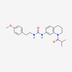 molecular formula C23H29N3O3 B2503536 1-(1-Isobutyryl-1,2,3,4-tetrahydroquinolin-7-yl)-3-(4-methoxyphenethyl)urea CAS No. 1203315-83-6