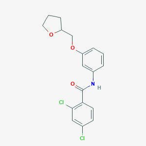molecular formula C18H17Cl2NO3 B250379 2,4-dichloro-N-[3-(tetrahydro-2-furanylmethoxy)phenyl]benzamide 