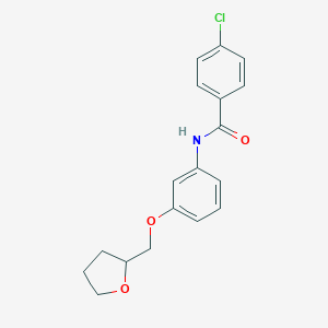 4-chloro-N-[3-(tetrahydro-2-furanylmethoxy)phenyl]benzamide