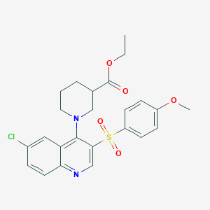 molecular formula C24H25ClN2O5S B2503956 Ethyl 1-(6-chloro-3-((4-methoxyphenyl)sulfonyl)quinolin-4-yl)piperidine-3-carboxylate CAS No. 867040-35-5