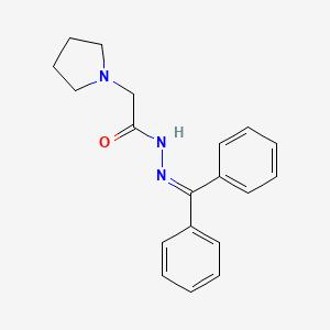 molecular formula C19H21N3O B2504503 N'-(diphenylmethylene)-2-(1-pyrrolidinyl)acetohydrazide CAS No. 478247-22-2