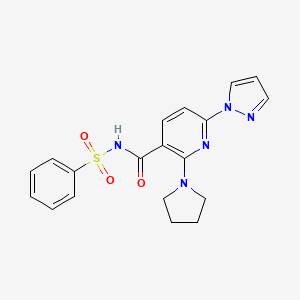 molecular formula C19H19N5O3S B2504683 N-(phenylsulfonyl)-6-(1H-pyrazol-1-yl)-2-(pyrrolidin-1-yl)nicotinamide CAS No. 2411638-60-1