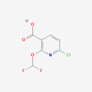 molecular formula C7H4ClF2NO3 B2504887 6-Chloro-2-(difluoromethoxy)nicotinic acid CAS No. 1807242-68-7