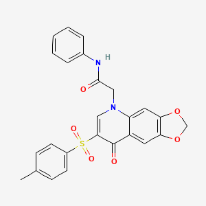 molecular formula C25H20N2O6S B2505378 2-(8-oxo-7-tosyl-[1,3]dioxolo[4,5-g]quinolin-5(8H)-yl)-N-phenylacetamide CAS No. 902278-01-7