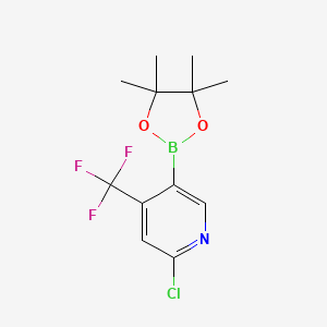 molecular formula C12H14BClF3NO2 B2505421 2-氯-4-(三氟甲基)吡啶-5-硼酸二乙二醇酯 CAS No. 2377611-69-1