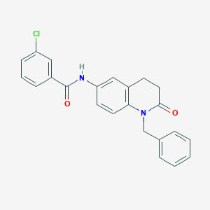 molecular formula C23H19ClN2O2 B2505495 N-(1-benzyl-2-oxo-1,2,3,4-tetrahydroquinolin-6-yl)-3-chlorobenzamide CAS No. 954660-89-0