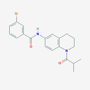 molecular formula C20H21BrN2O2 B2505835 3-bromo-N-(1-isobutyryl-1,2,3,4-tetrahydroquinolin-6-yl)benzamide CAS No. 1005292-80-7