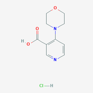 molecular formula C10H13ClN2O3 B2505869 4-Morpholin-4-ylpyridine-3-carboxylic acid;hydrochloride CAS No. 2408965-78-4