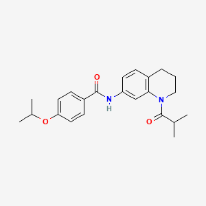 molecular formula C23H28N2O3 B2505884 N-(1-isobutyryl-1,2,3,4-tetrahydroquinolin-7-yl)-4-isopropoxybenzamide CAS No. 1005301-18-7