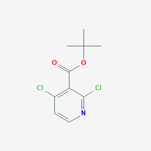 molecular formula C10H11Cl2NO2 B2506319 2,4-二氯尼克酸叔丁酯 CAS No. 1262132-92-2