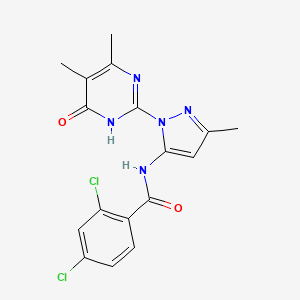 molecular formula C17H15Cl2N5O2 B2506448 2,4-二氯-N-(1-(4,5-二甲基-6-氧代-1,6-二氢嘧啶-2-基)-3-甲基-1H-吡唑-5-基)苯甲酰胺 CAS No. 1004680-28-7