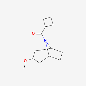 molecular formula C13H21NO2 B2506457 cyclobutyl((1R,5S)-3-methoxy-8-azabicyclo[3.2.1]octan-8-yl)methanone CAS No. 2309552-62-1