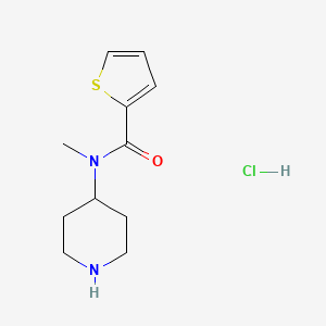 molecular formula C11H17ClN2OS B2506491 N-甲基-N-(哌啶-4-基)噻吩-2-甲酰胺盐酸盐 CAS No. 1353962-93-2