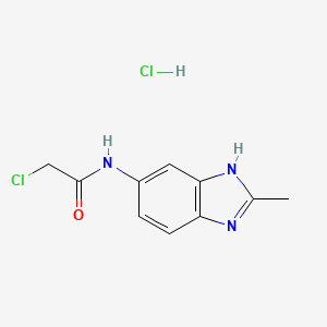 molecular formula C10H11Cl2N3O B2506579 2-氯-N-(2-甲基-3H-苯并咪唑-5-基)乙酰胺；盐酸盐 CAS No. 2241130-36-7