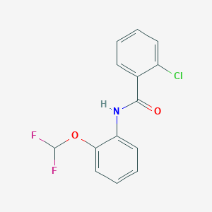 molecular formula C14H10ClF2NO2 B250680 2-chloro-N-[2-(difluoromethoxy)phenyl]benzamide 