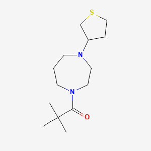 molecular formula C14H26N2OS B2507522 2,2-Dimethyl-1-[4-(thiolan-3-yl)-1,4-diazepan-1-yl]propan-1-one CAS No. 2415524-93-3