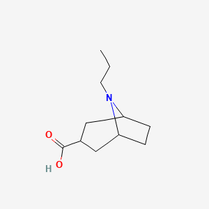 molecular formula C11H19NO2 B2508530 8-Propyl-8-azabicyclo[3.2.1]octane-3-carboxylic acid CAS No. 1210142-40-7