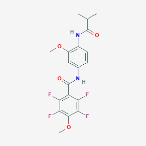 molecular formula C19H18F4N2O4 B250955 2,3,5,6-tetrafluoro-N-[4-(isobutyrylamino)-3-methoxyphenyl]-4-methoxybenzamide 