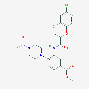 molecular formula C23H25Cl2N3O5 B250970 METHYL 4-(4-ACETYLPIPERAZIN-1-YL)-3-[2-(2,4-DICHLOROPHENOXY)PROPANAMIDO]BENZOATE 