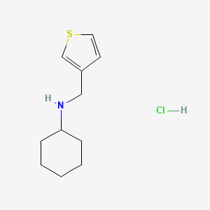B2510819 N-(3-Thienylmethyl)cyclohexanamine hydrochloride CAS No. 1049713-22-5; 892592-33-5