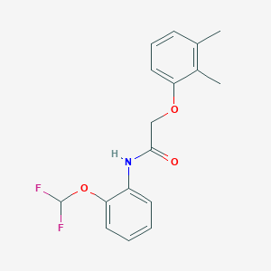 N-[2-(difluoromethoxy)phenyl]-2-(2,3-dimethylphenoxy)acetamide