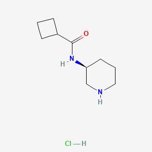 molecular formula C10H19ClN2O B2511335 (S)-N-(Piperidin-3-yl)cyclobutanecarboxamide hydrochloride CAS No. 1332765-60-2