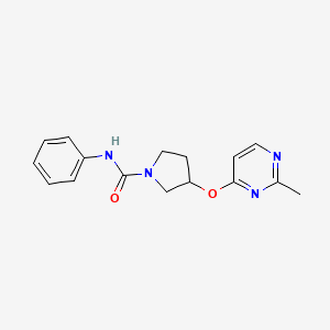 molecular formula C16H18N4O2 B2511487 3-[(2-methylpyrimidin-4-yl)oxy]-N-phenylpyrrolidine-1-carboxamide CAS No. 2034247-32-8