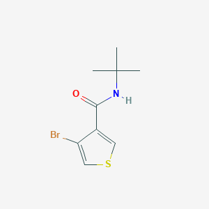 4-bromo-N-tert-butylthiophene-3-carboxamide
