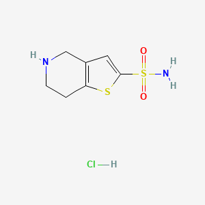molecular formula C7H11ClN2O2S2 B2512215 盐酸4H,5H,6H,7H-噻吩并[3,2-c]吡啶-2-磺酰胺 CAS No. 1989671-89-7