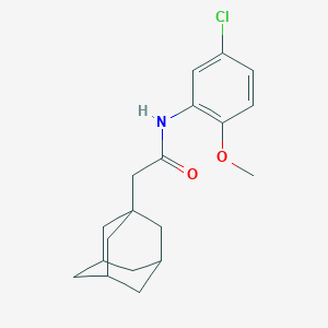 molecular formula C19H24ClNO2 B251227 2-(1-adamantyl)-N-(5-chloro-2-methoxyphenyl)acetamide 