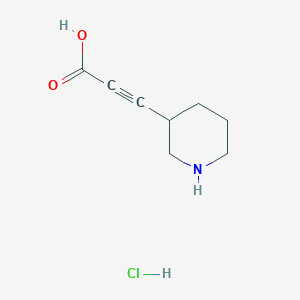 molecular formula C8H12ClNO2 B2512331 3-(Piperidin-3-yl)prop-2-ynoic acid hydrochloride CAS No. 1955523-88-2