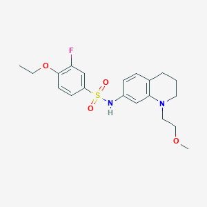 4-ethoxy-3-fluoro-N-(1-(2-methoxyethyl)-1,2,3,4-tetrahydroquinolin-7-yl)benzenesulfonamide