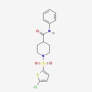 molecular formula C16H17ClN2O3S2 B2512811 1-((5-氯噻吩-2-基)磺酰基)-N-苯基哌啶-4-甲酰胺 CAS No. 899732-29-7