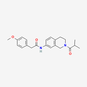 N-(2-isobutyryl-1,2,3,4-tetrahydroisoquinolin-7-yl)-2-(4-methoxyphenyl)acetamide