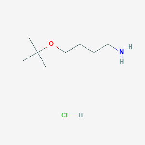 molecular formula C8H20ClNO B2514532 4-[(2-甲基丙烷-2-基)氧基]丁-1-胺;盐酸盐 CAS No. 2305252-57-5