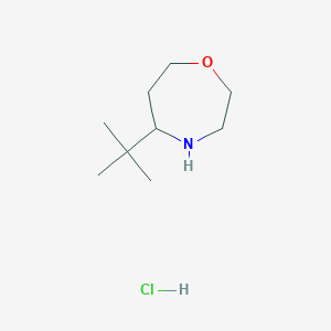molecular formula C9H20ClNO B2515759 5-叔丁基-1,4-氧杂环庚烷；盐酸盐 CAS No. 2305255-99-4