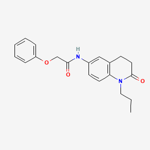 molecular formula C20H22N2O3 B2515787 N-(2-oxo-1-propyl-1,2,3,4-tetrahydroquinolin-6-yl)-2-phenoxyacetamide CAS No. 951505-42-3