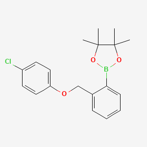 2-(2-((4-Chlorophenoxy)methyl)phenyl)-4,4,5,5-tetramethyl-1,3,2-dioxaborolane