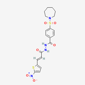 molecular formula C20H22N4O6S2 B2515969 (E)-4-(氮杂环戊-1-基磺酰基)-N'-(3-(5-硝基噻吩-2-基)丙烯酰基)苯甲酰肼 CAS No. 1322230-41-0