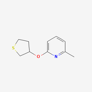 molecular formula C10H13NOS B2516179 2-メチル-6-(チオラン-3-イルオキシ)ピリジン CAS No. 2198019-90-6