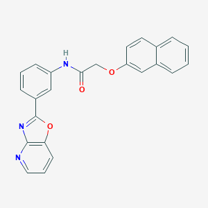 molecular formula C24H17N3O3 B251816 2-(Naphthalen-2-yloxy)-N-(3-oxazolo[4,5-b]pyridin-2-yl-phenyl)-acetamide 
