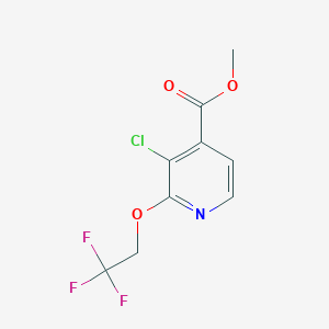 Methyl 3-chloro-2-(2,2,2-trifluoroethoxy)isonicotinate