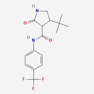 4-tert-butyl-2-oxo-N-[4-(trifluoromethyl)phenyl]pyrrolidine-3-carboxamide