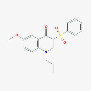 molecular formula C19H19NO4S B2520115 6-methoxy-3-(phenylsulfonyl)-1-propylquinolin-4(1H)-one CAS No. 899214-87-0