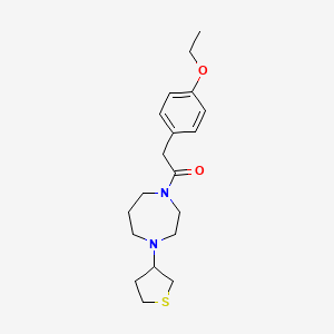 2-(4-Ethoxyphenyl)-1-(4-(tetrahydrothiophen-3-yl)-1,4-diazepan-1-yl)ethan-1-one