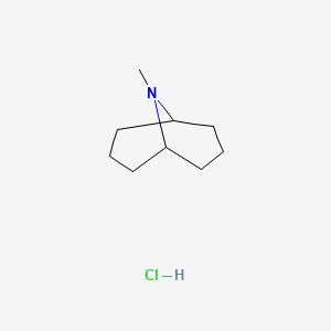 molecular formula C9H18ClN B2521445 Granatane hydrochoride CAS No. 49656-52-2