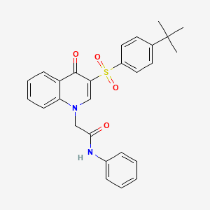 molecular formula C27H26N2O4S B2523089 2-[3-(4-tert-butylphenyl)sulfonyl-4-oxoquinolin-1-yl]-N-phenylacetamide CAS No. 866843-69-8